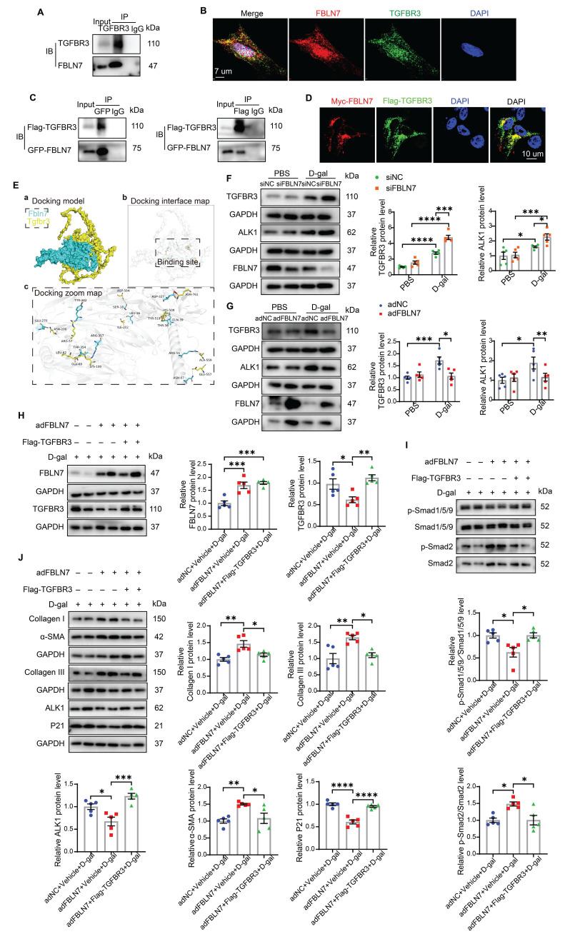 https://cdn.ncbi.nlm.nih.gov/pmc/blobs/1e5e/12374634/53e33267910a/thnov15p8531g005.jpg