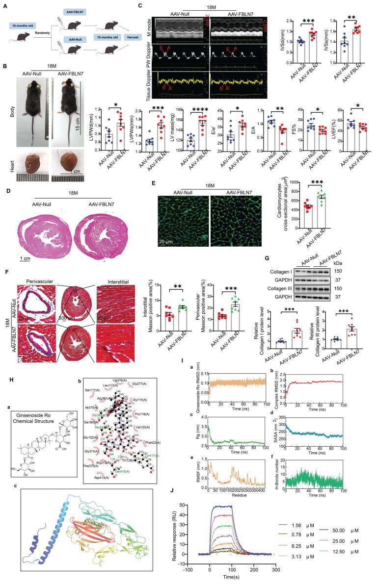 https://cdn.ncbi.nlm.nih.gov/pmc/blobs/1e5e/12374634/722bde53c019/thnov15p8531g006.jpg