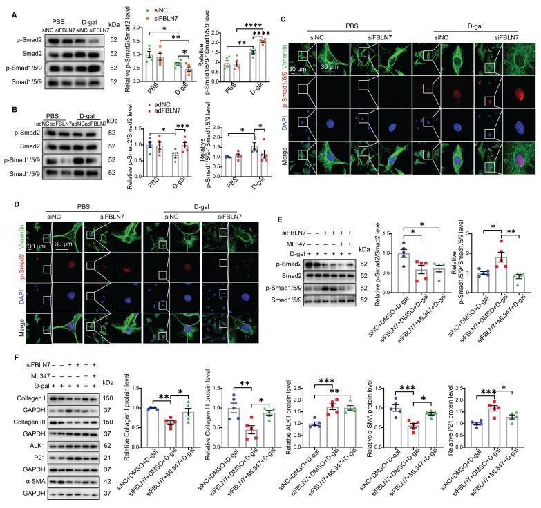 https://cdn.ncbi.nlm.nih.gov/pmc/blobs/1e5e/12374634/72b8646ab297/thnov15p8531g004.jpg