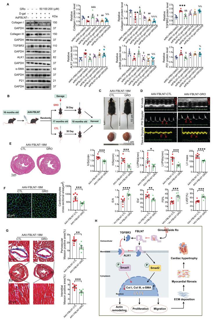 https://cdn.ncbi.nlm.nih.gov/pmc/blobs/1e5e/12374634/c7e8b9550ae3/thnov15p8531g007.jpg