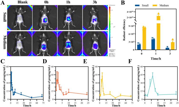 https://cdn.ncbi.nlm.nih.gov/pmc/blobs/1e61/11972005/c6acd9e4992a/DDDT-19-2473-g0006.jpg