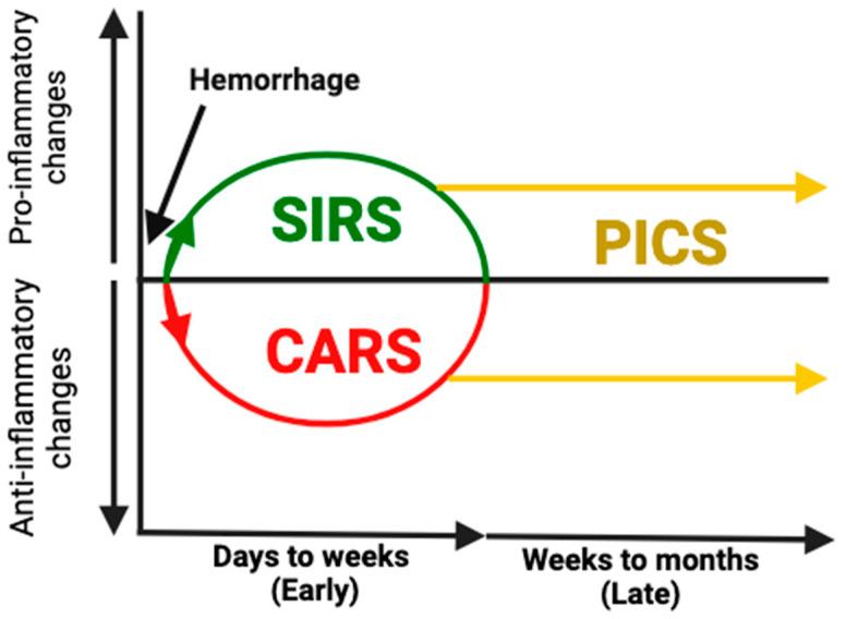 https://cdn.ncbi.nlm.nih.gov/pmc/blobs/1e64/11673815/41c9a84329ed/biomedicines-12-02889-g001.jpg