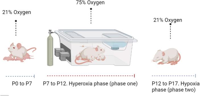https://cdn.ncbi.nlm.nih.gov/pmc/blobs/1e65/10276165/3babbf9ca898/gr3.jpg