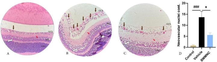 https://cdn.ncbi.nlm.nih.gov/pmc/blobs/1e65/10276165/80be7b7bf291/gr7.jpg