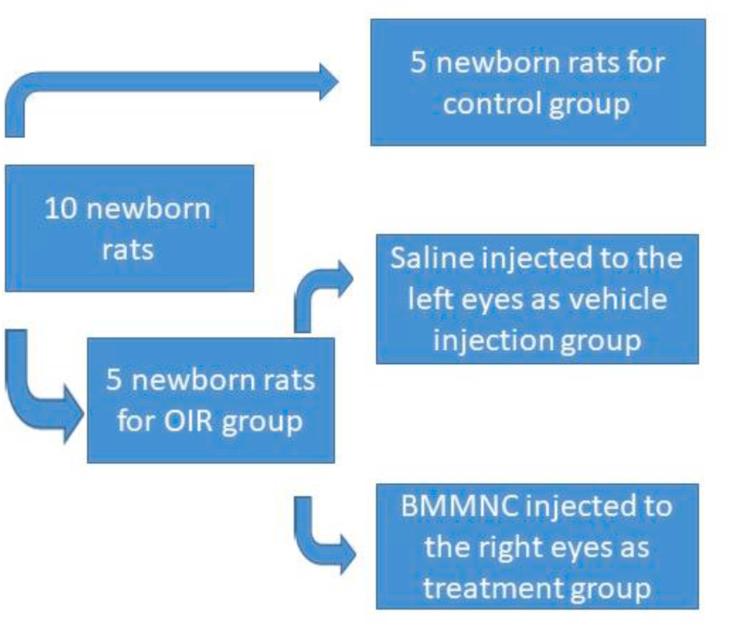 https://cdn.ncbi.nlm.nih.gov/pmc/blobs/1e65/10276165/d6d07c585fbb/gr2.jpg