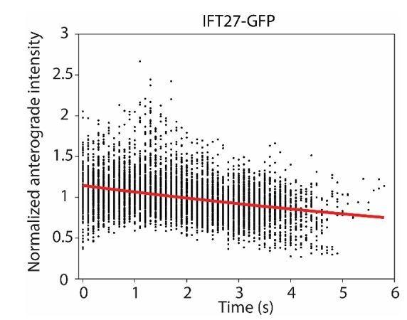 https://cdn.ncbi.nlm.nih.gov/pmc/blobs/1e65/5662288/6c179d0dda8c/elife-28606-resp-fig1.jpg