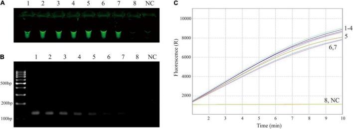 https://cdn.ncbi.nlm.nih.gov/pmc/blobs/1e65/8965353/247c61b9f41e/fmicb-13-858806-g003.jpg