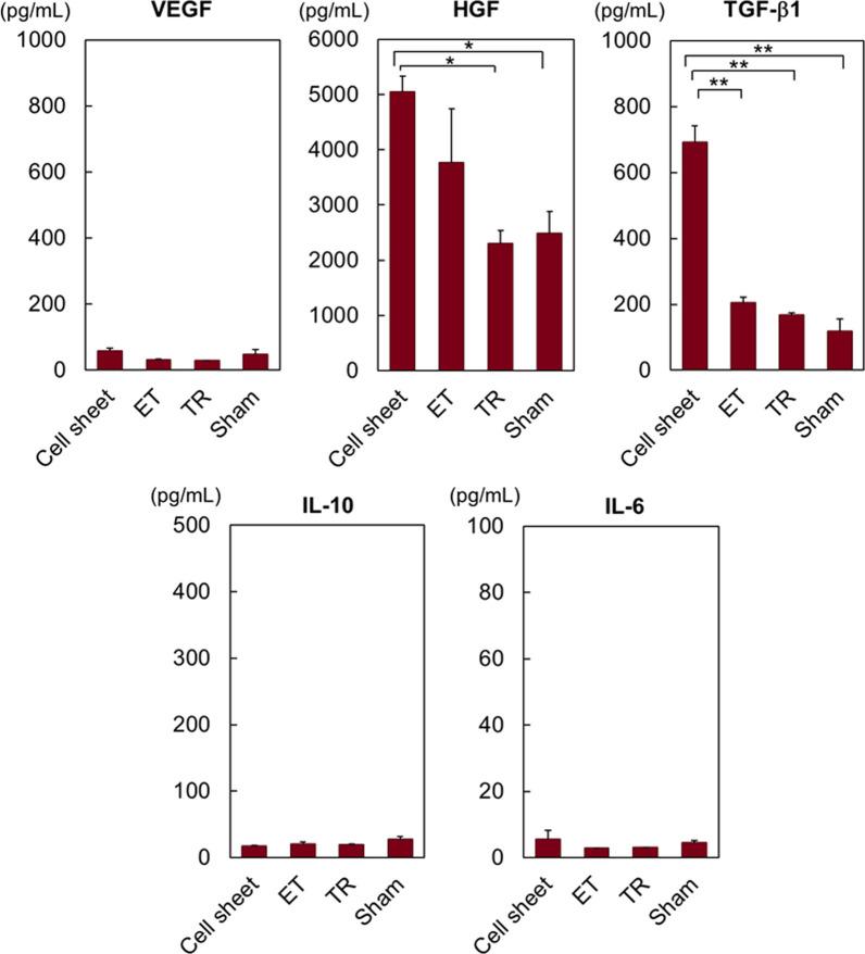 https://cdn.ncbi.nlm.nih.gov/pmc/blobs/1e66/10712142/82f01366f3e9/13287_2023_3593_Fig5_HTML.jpg
