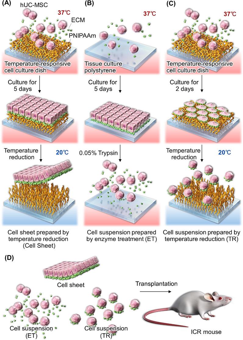https://cdn.ncbi.nlm.nih.gov/pmc/blobs/1e66/10712142/b385dafc5469/13287_2023_3593_Fig1_HTML.jpg