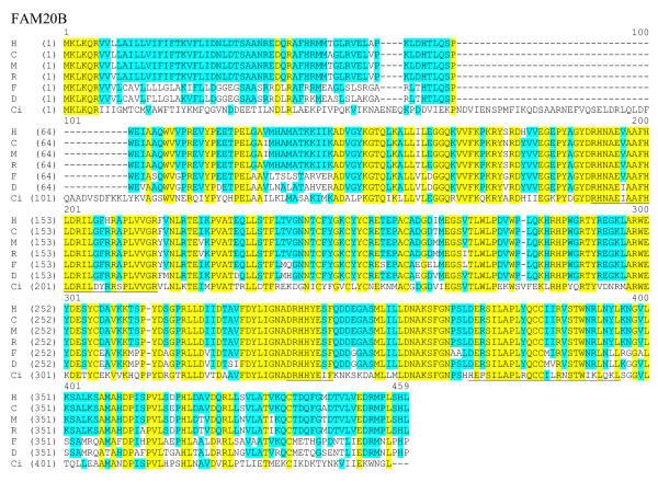 https://cdn.ncbi.nlm.nih.gov/pmc/blobs/1e66/548683/8149a9942c98/1471-2164-6-11-5.jpg