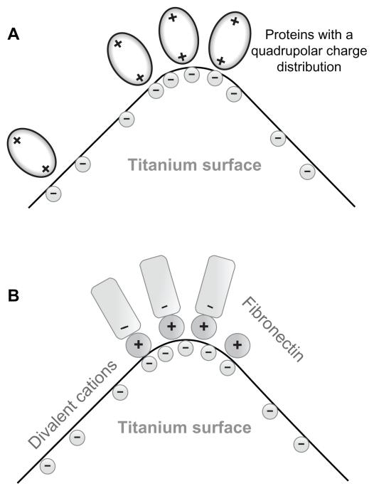 https://cdn.ncbi.nlm.nih.gov/pmc/blobs/1e6b/3173045/52e908356601/ijn-6-1801f3.jpg