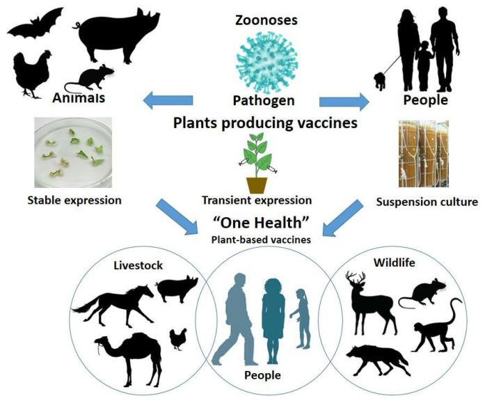 https://cdn.ncbi.nlm.nih.gov/pmc/blobs/1e6b/8878793/2445ec9176f8/life-12-00156-g001.jpg
