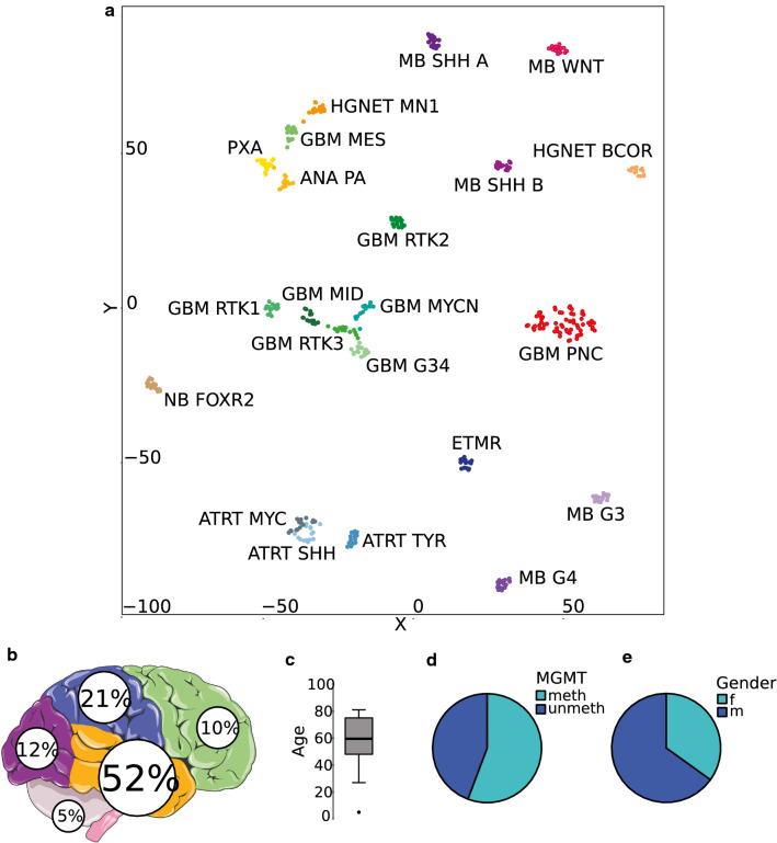 https://cdn.ncbi.nlm.nih.gov/pmc/blobs/1e6d/8217054/02528a124195/401_2021_2302_Fig1_HTML.jpg