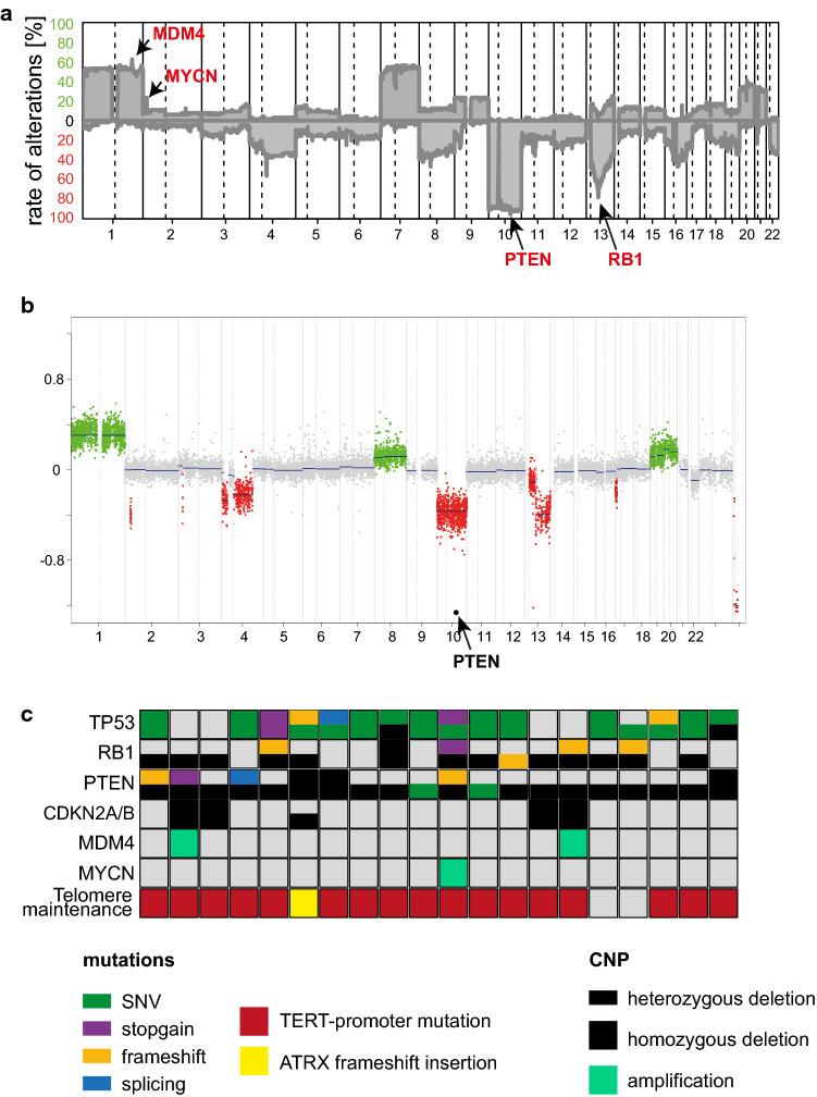 https://cdn.ncbi.nlm.nih.gov/pmc/blobs/1e6d/8217054/3277fd7ce31e/401_2021_2302_Fig2_HTML.jpg