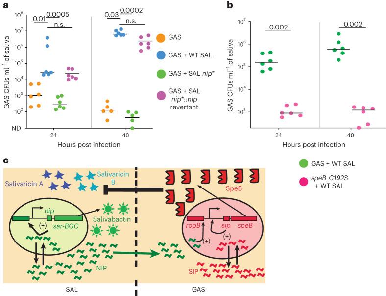 https://cdn.ncbi.nlm.nih.gov/pmc/blobs/1e6e/10847043/89f201415b2d/41564_2023_1583_Fig5_HTML.jpg