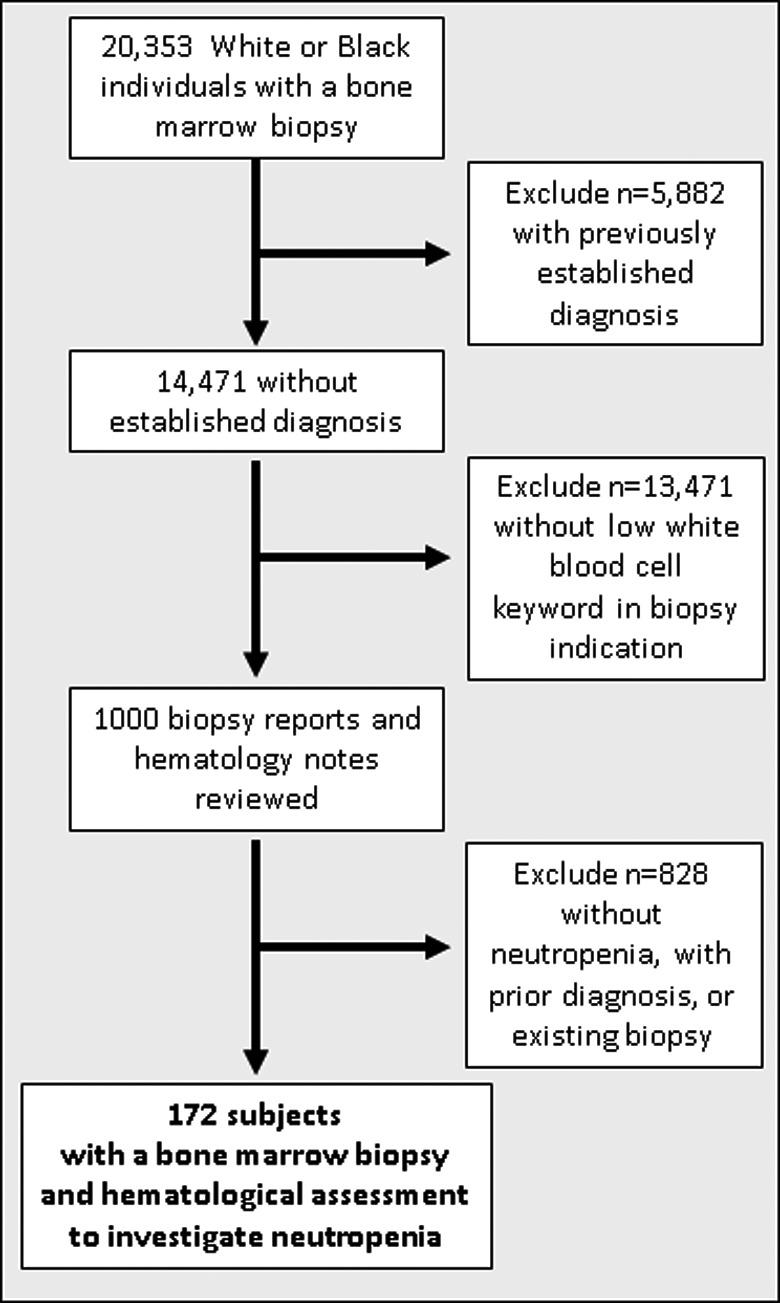 https://cdn.ncbi.nlm.nih.gov/pmc/blobs/1e73/9258701/8985752ed1d5/JCMM-26-3628-g002.jpg