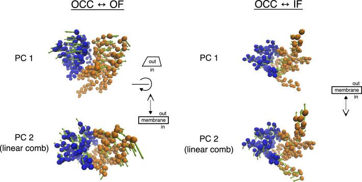 https://cdn.ncbi.nlm.nih.gov/pmc/blobs/1e75/11265797/909c49345e70/elife-96507-fig2-figsupp5.jpg