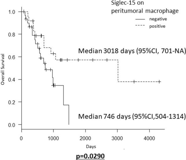 https://cdn.ncbi.nlm.nih.gov/pmc/blobs/1e76/7806611/9504df568974/41598_2020_79742_Fig5_HTML.jpg