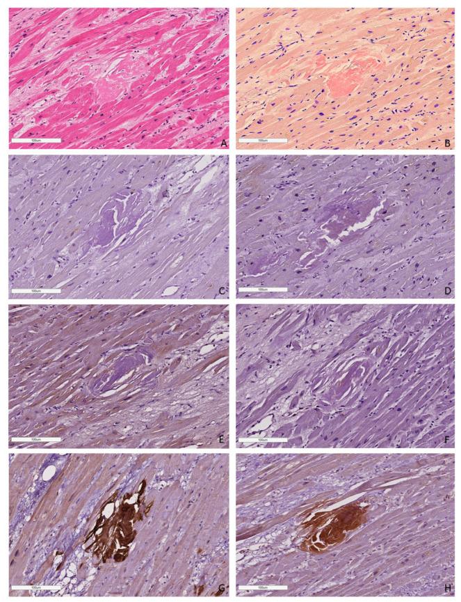 https://cdn.ncbi.nlm.nih.gov/pmc/blobs/1e77/11476653/faffe9e62319/ijms-25-10667-g005.jpg