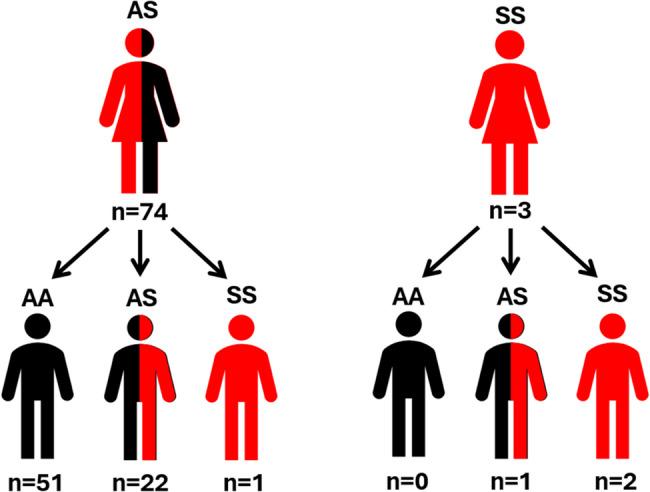 https://cdn.ncbi.nlm.nih.gov/pmc/blobs/1e77/12398986/3233f360b999/12875_2025_2976_Fig3_HTML.jpg