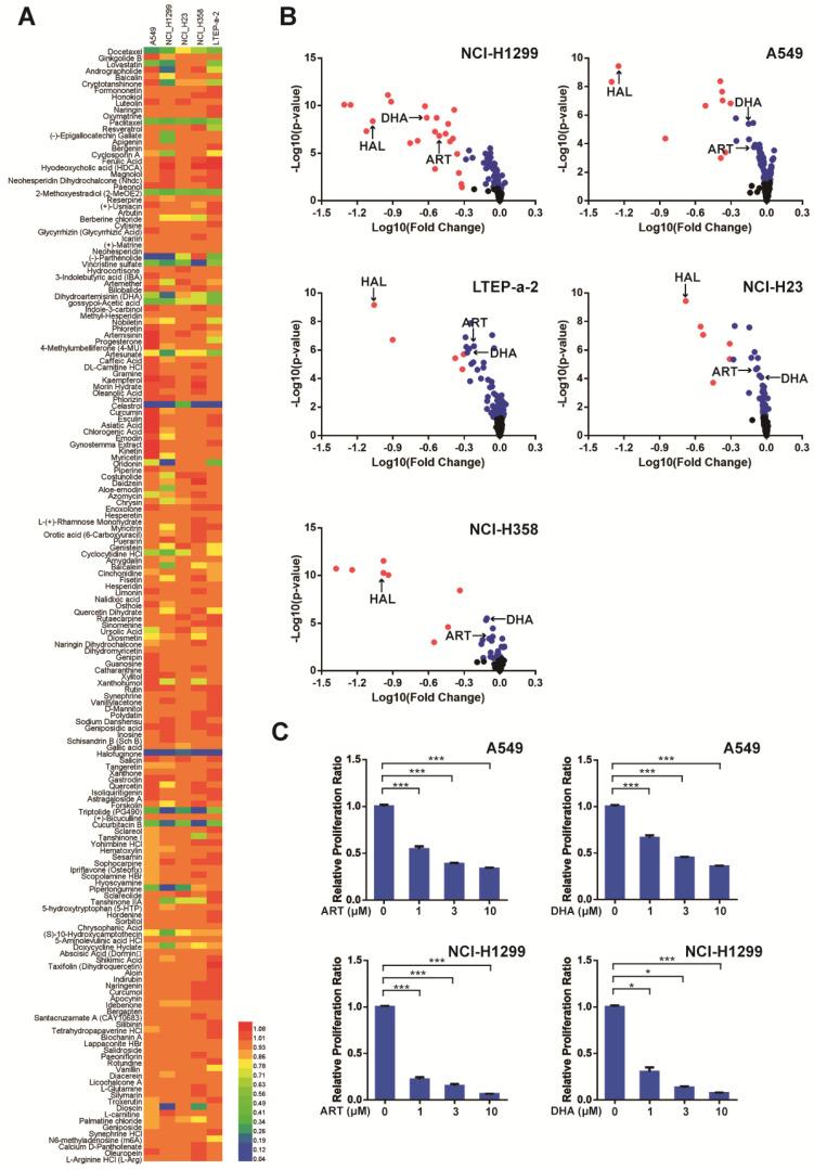 https://cdn.ncbi.nlm.nih.gov/pmc/blobs/1e79/8176242/3c085e74f0d8/jcav12p4075g001.jpg