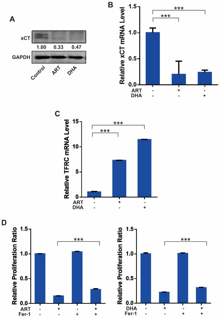https://cdn.ncbi.nlm.nih.gov/pmc/blobs/1e79/8176242/aff12841291c/jcav12p4075g003.jpg