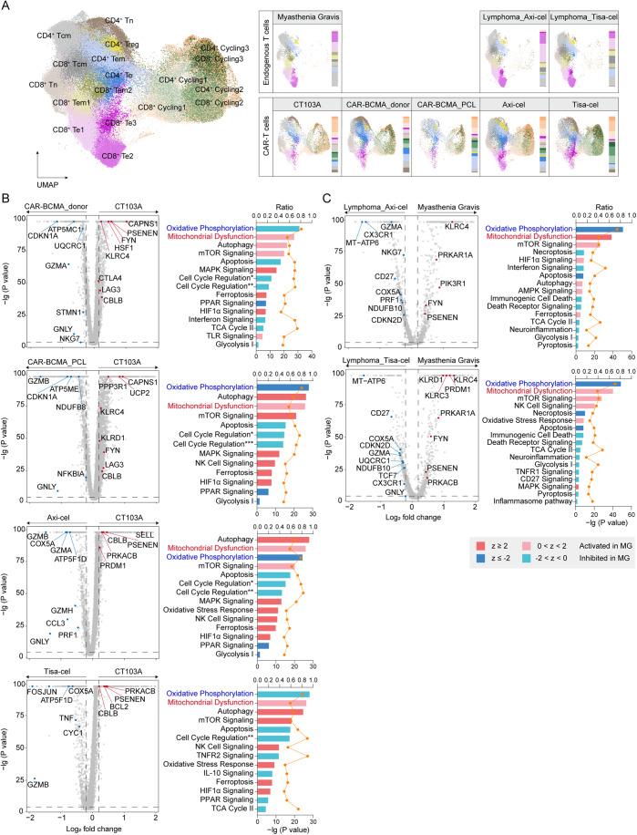 https://cdn.ncbi.nlm.nih.gov/pmc/blobs/1e7a/11018773/2e7a15156bcf/44321_2024_43_Fig6_HTML.jpg