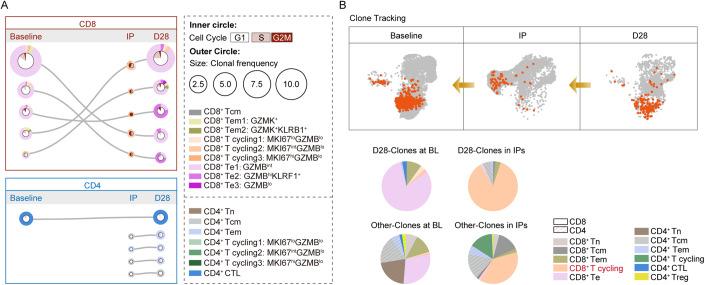 https://cdn.ncbi.nlm.nih.gov/pmc/blobs/1e7a/11018773/69b9f5f73670/44321_2024_43_Fig5_HTML.jpg