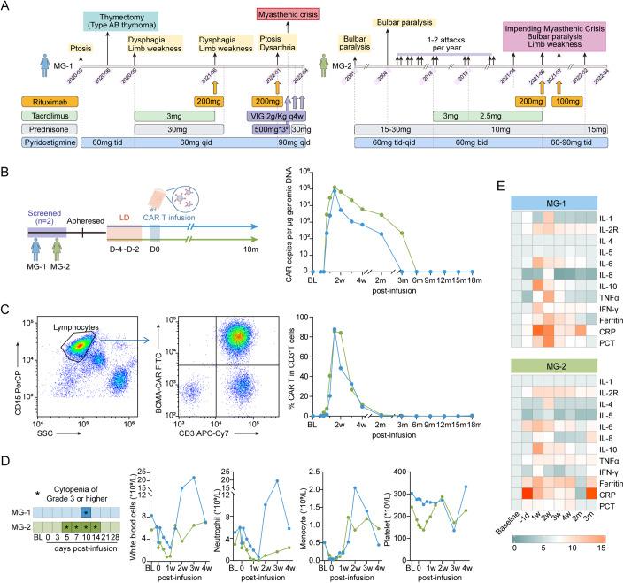 https://cdn.ncbi.nlm.nih.gov/pmc/blobs/1e7a/11018773/7bd363888666/44321_2024_43_Fig1_HTML.jpg