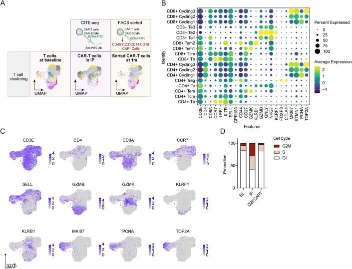 https://cdn.ncbi.nlm.nih.gov/pmc/blobs/1e7a/11018773/f67ca971f718/44321_2024_43_Fig9_ESM.jpg