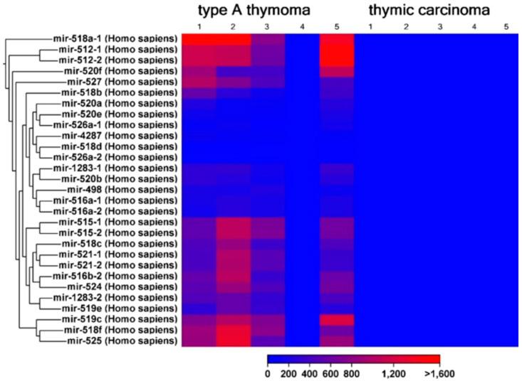 https://cdn.ncbi.nlm.nih.gov/pmc/blobs/1e7d/10855681/b15cb3c42fd4/ijms-25-01554-g003.jpg