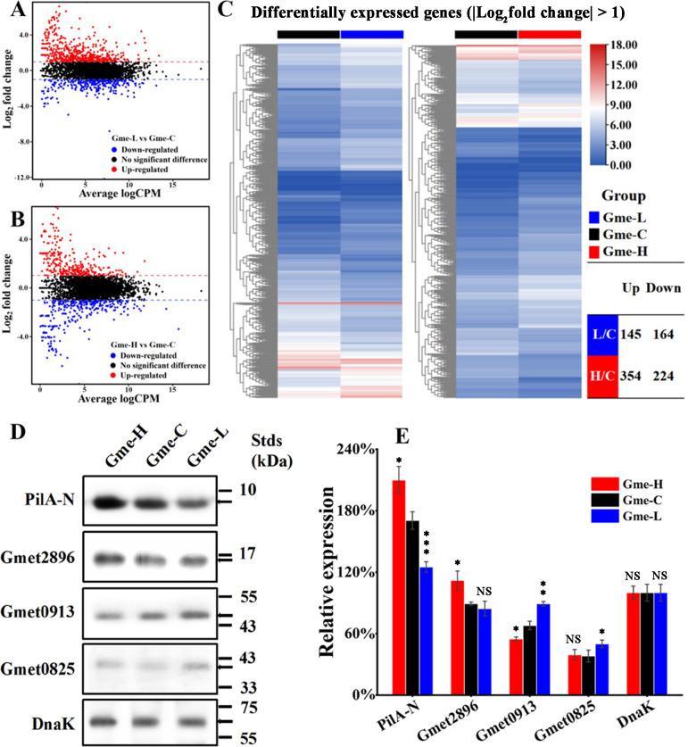 https://cdn.ncbi.nlm.nih.gov/pmc/blobs/1e7e/12285248/b41d3e47817e/aem.00727-25.f003.jpg