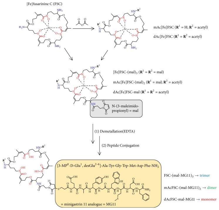 https://cdn.ncbi.nlm.nih.gov/pmc/blobs/1e7e/5914118/6cde3d321cf4/CMMI2018-3171794.sch.001.jpg