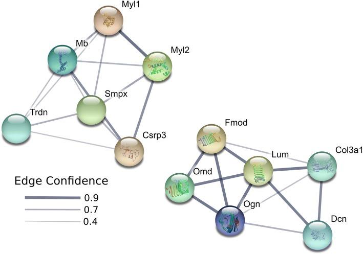 https://cdn.ncbi.nlm.nih.gov/pmc/blobs/1e80/6347839/6253632b312d/12864_2019_5426_Fig4_HTML.jpg
