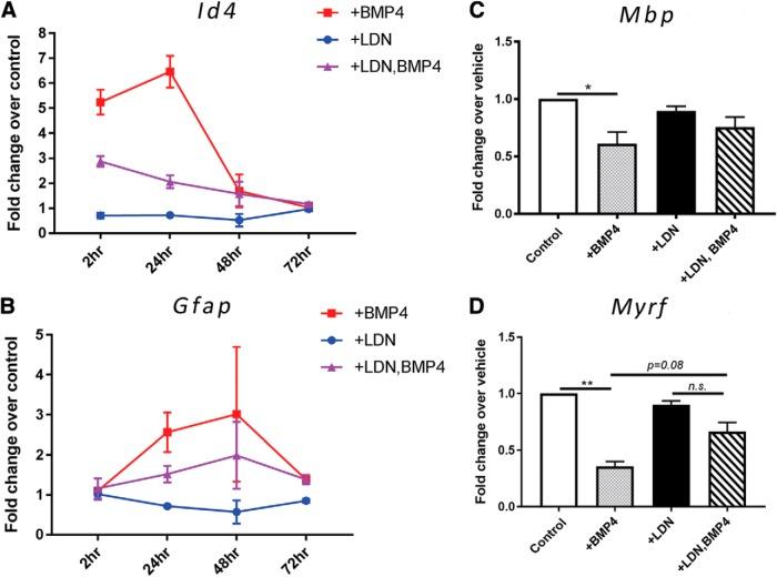 https://cdn.ncbi.nlm.nih.gov/pmc/blobs/1e80/6529590/cd17b9a3c5f4/enu0021929310006.jpg