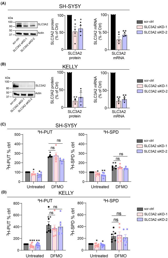 https://cdn.ncbi.nlm.nih.gov/pmc/blobs/1e81/11887671/347015a5650a/MOL2-19-913-g003.jpg