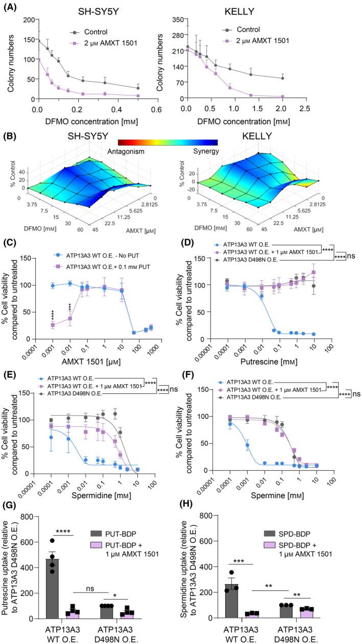 https://cdn.ncbi.nlm.nih.gov/pmc/blobs/1e81/11887671/3b03de42d8e3/MOL2-19-913-g004.jpg