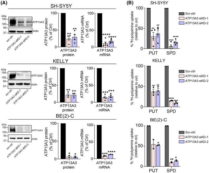 https://cdn.ncbi.nlm.nih.gov/pmc/blobs/1e81/11887671/6b821ae123dc/MOL2-19-913-g009.jpg
