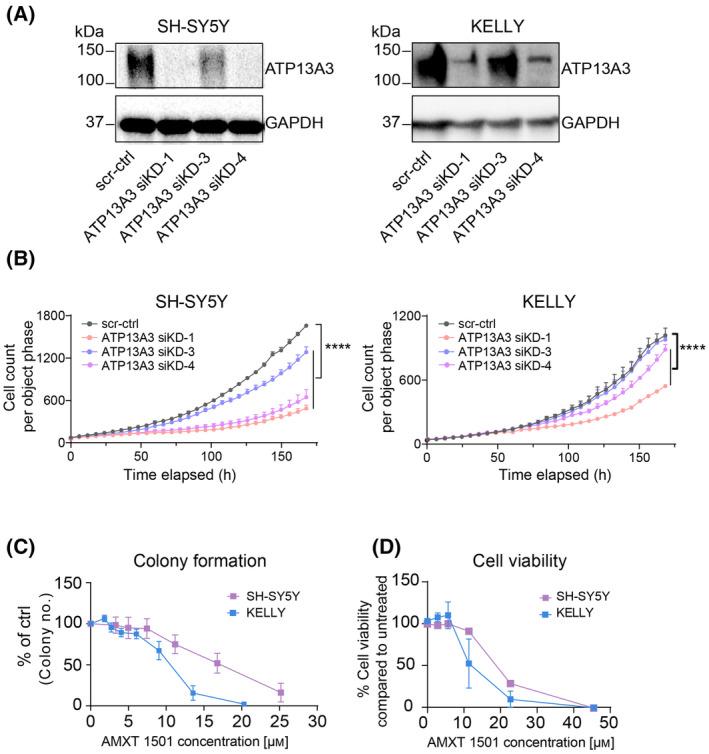 https://cdn.ncbi.nlm.nih.gov/pmc/blobs/1e81/11887671/abc9bc74e8ca/MOL2-19-913-g001.jpg