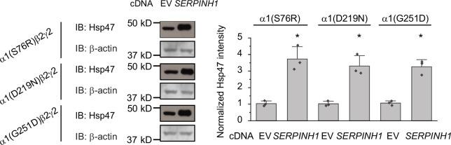 https://cdn.ncbi.nlm.nih.gov/pmc/blobs/1e85/11257679/11aab2348841/elife-84798-fig5-figsupp2.jpg