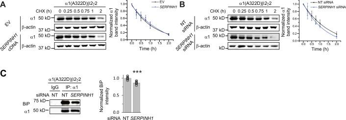 https://cdn.ncbi.nlm.nih.gov/pmc/blobs/1e85/11257679/41acc0a21585/elife-84798-fig5-figsupp1.jpg