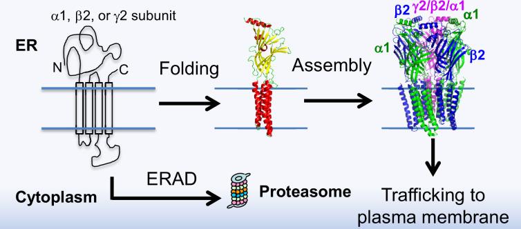 https://cdn.ncbi.nlm.nih.gov/pmc/blobs/1e85/11257679/6431388598bb/elife-84798-fig1-figsupp1.jpg