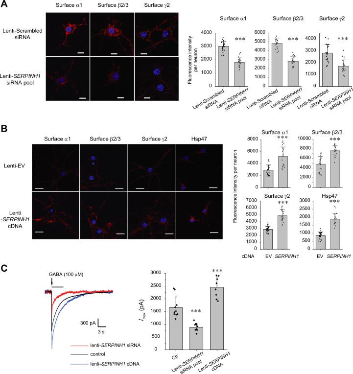 https://cdn.ncbi.nlm.nih.gov/pmc/blobs/1e85/11257679/82dfcaf0ab72/elife-84798-fig2.jpg