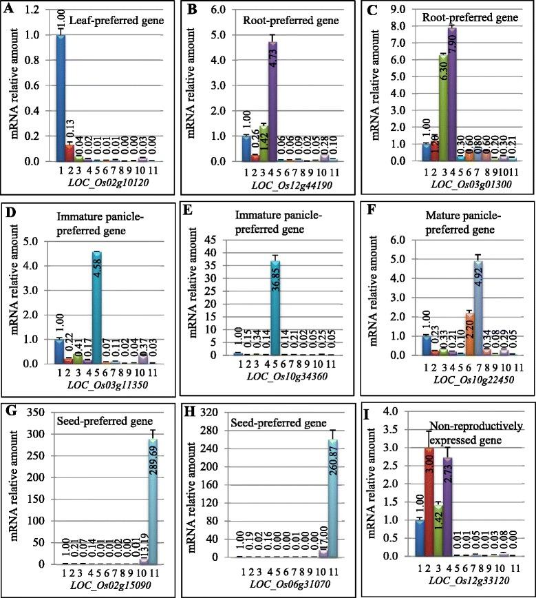 https://cdn.ncbi.nlm.nih.gov/pmc/blobs/1e85/4248441/ac2a6e46cdc3/12870_2014_331_Fig2_HTML.jpg