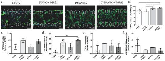 https://cdn.ncbi.nlm.nih.gov/pmc/blobs/1e86/11468947/42183d74a3da/ADHM-13-2301481-g006.jpg