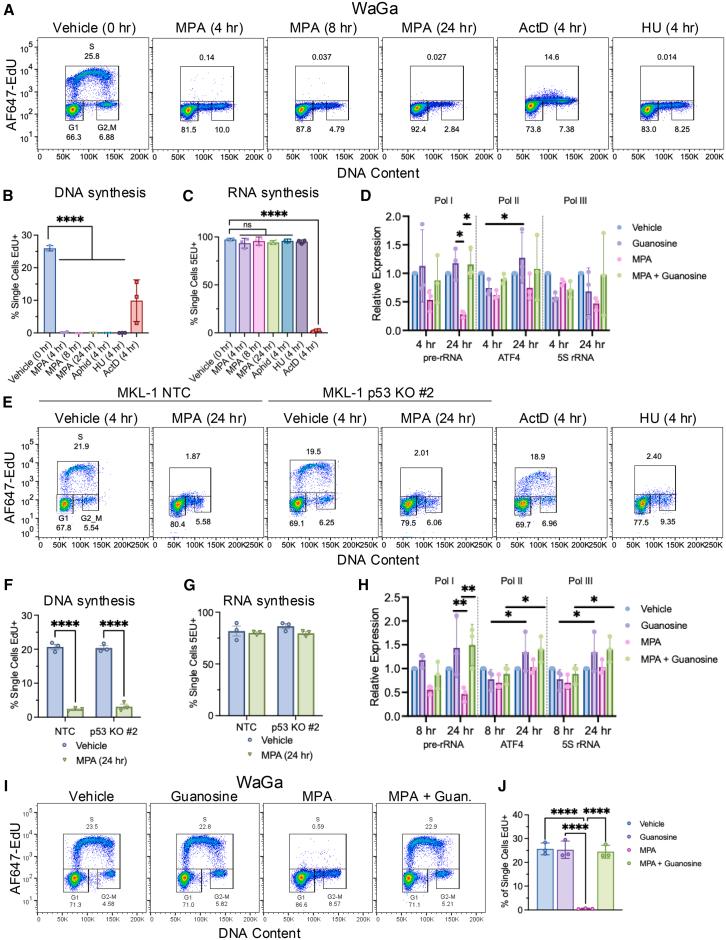 https://cdn.ncbi.nlm.nih.gov/pmc/blobs/1e86/12148403/70dddb5545e4/gr3.jpg