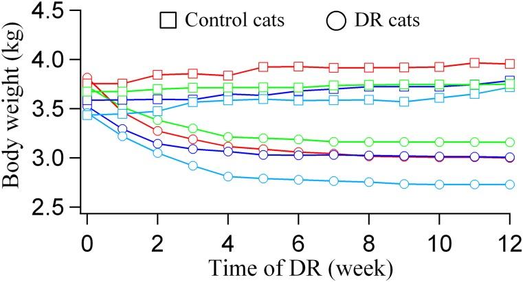 https://cdn.ncbi.nlm.nih.gov/pmc/blobs/1e86/4749323/af058f976625/pone.0149004.g002.jpg