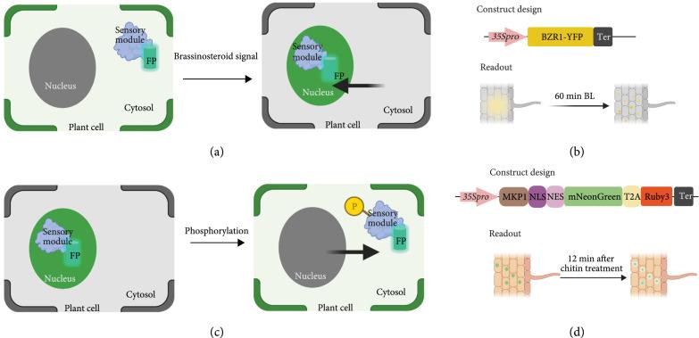 https://cdn.ncbi.nlm.nih.gov/pmc/blobs/1e89/10521658/d4bbaa3af657/9863496.fig.006.jpg