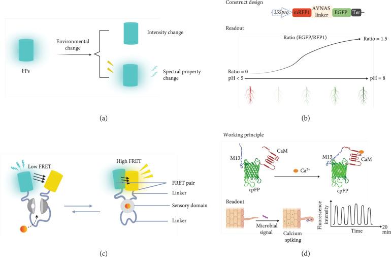 https://cdn.ncbi.nlm.nih.gov/pmc/blobs/1e89/10521658/dac6385fec8f/9863496.fig.003.jpg