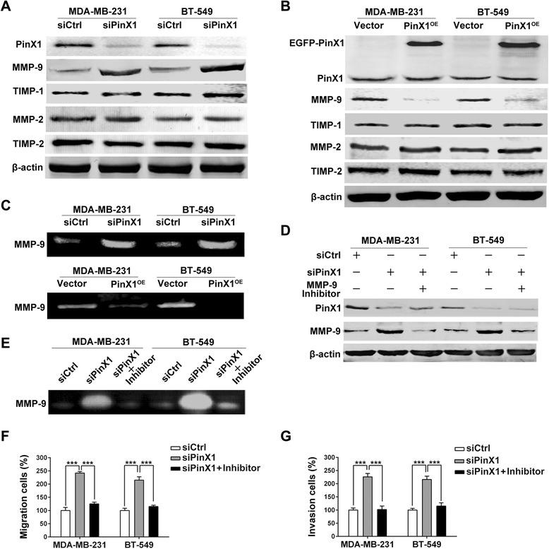 https://cdn.ncbi.nlm.nih.gov/pmc/blobs/1e8c/4404090/5fc892d0a910/12943_2015_332_Fig3_HTML.jpg